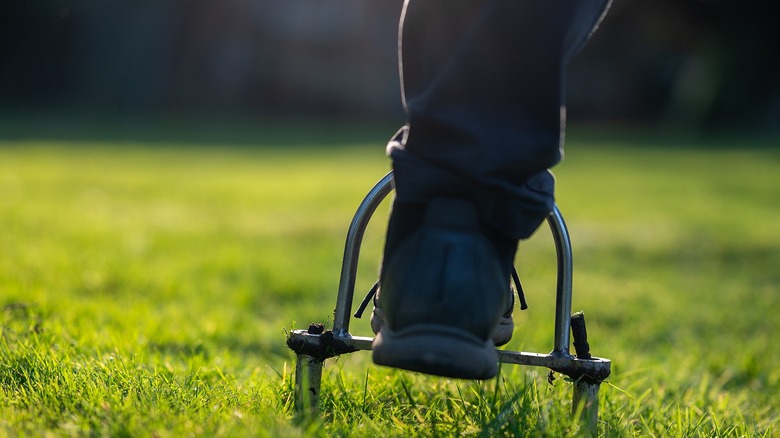 Person using foot to push manual core aerator into the ground