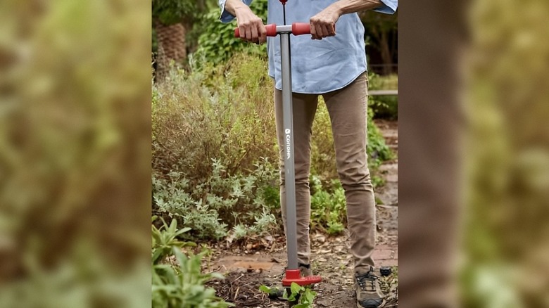 a person using the  Corona MAX 43.75-inch WeedSLAYER Weederto pull out weds