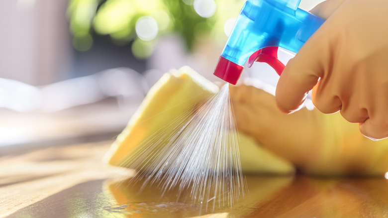 A person spraying an item with cleaner.